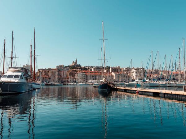 Provence small group tour, vineyards & lavender fields 