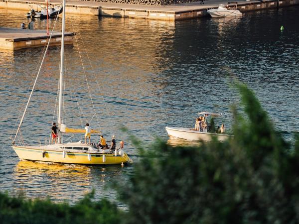 Provence small group tour, vineyards & lavender fields 