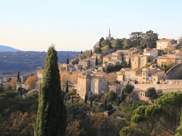 Provence small group tour, vineyards & lavender fields 