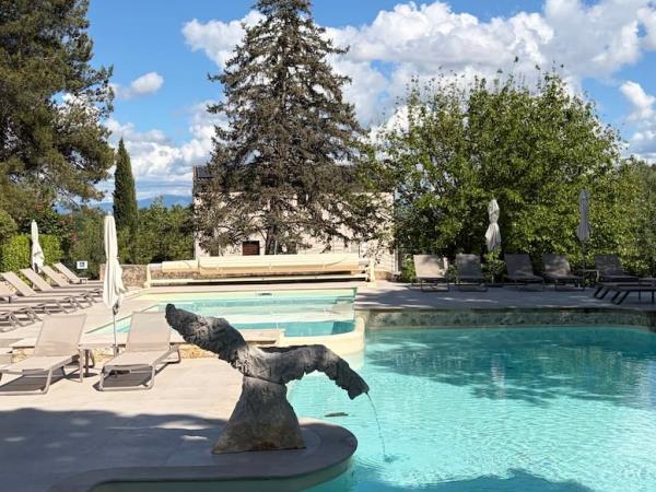 Provence small group tour, vineyards & lavender fields 