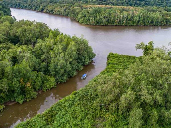 Costa Rica Osa Peninsula wildlife & whale watching tour