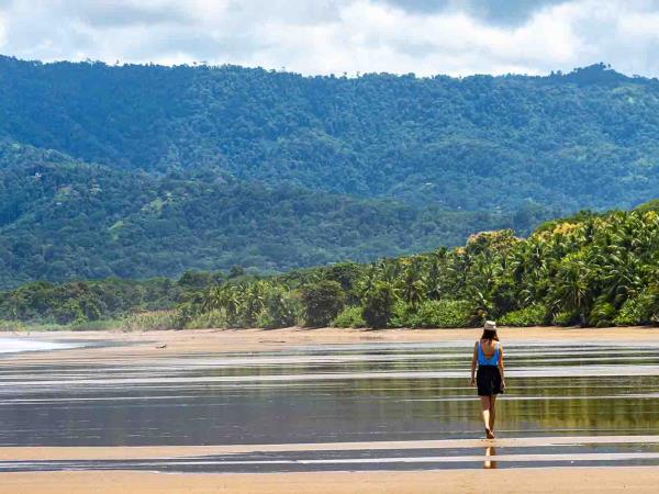 Costa Rica Osa Peninsula wildlife & whale watching tour