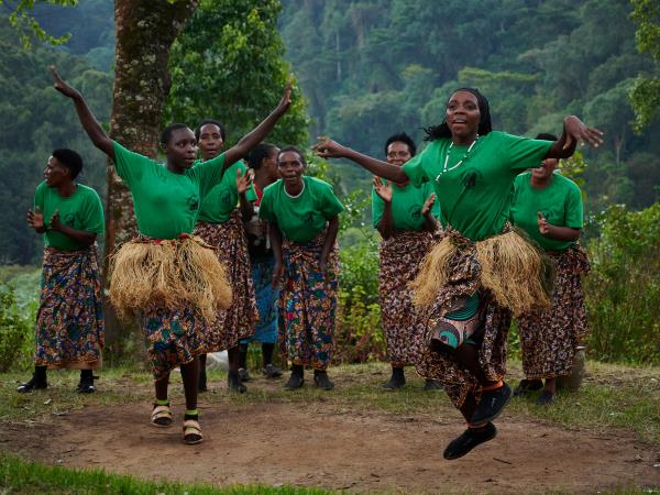 Mountain Gorilla photography holiday in Uganda