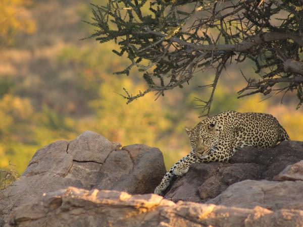 Photo Safari in Botswana