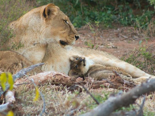 Photo Safari in Botswana