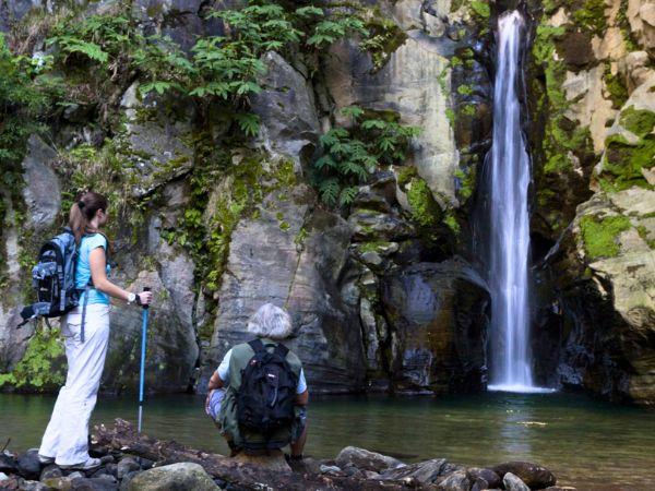 Azores whale watching and walking holiday