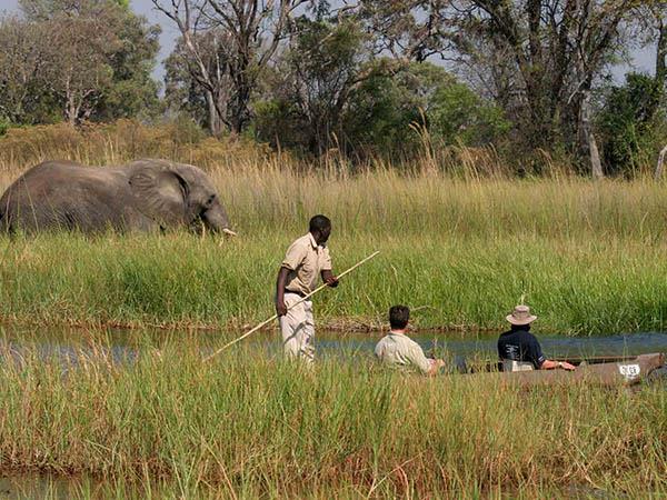 Zimbabwe & Botswana safari, tailor made