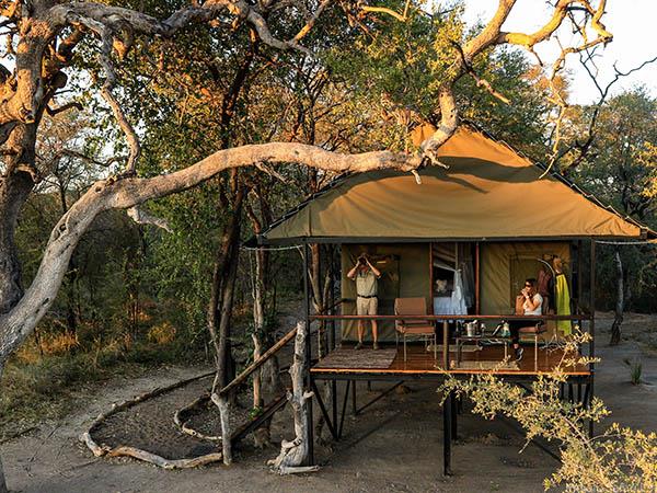 Zimbabwe & Botswana safari, tailor made