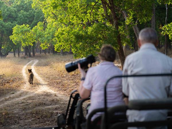 Tigers of India photography tour 
