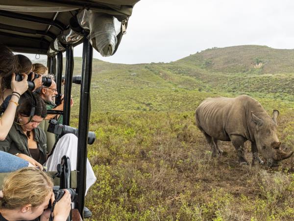 Wildlife Photography Internship, South Africa