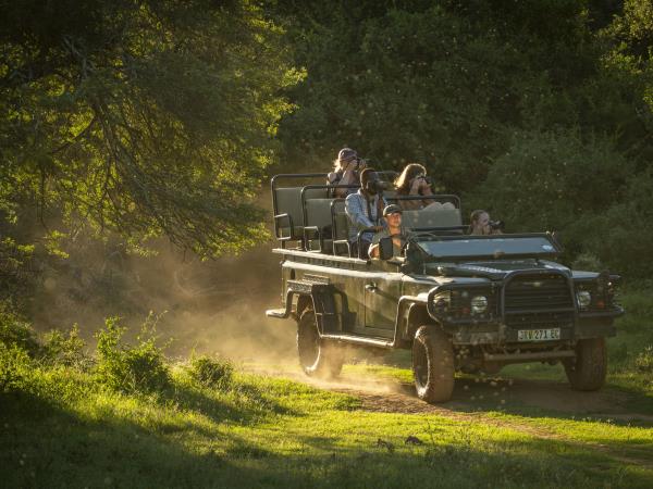 Wildlife Photography Internship, South Africa