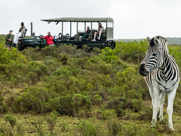 Wildlife Photography Internship, South Africa