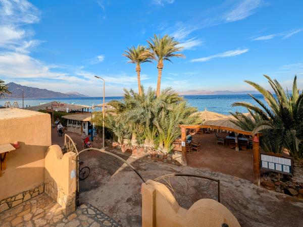 Dahab diving holidays in the Red Sea