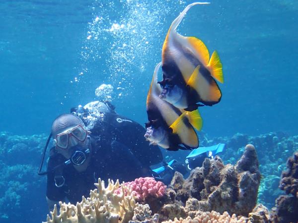 Family scuba diving holidays in the Red Sea
