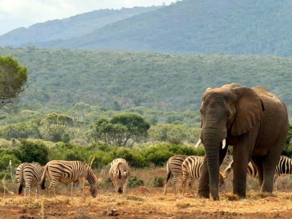 Conservation holiday for teenagers, South Africa