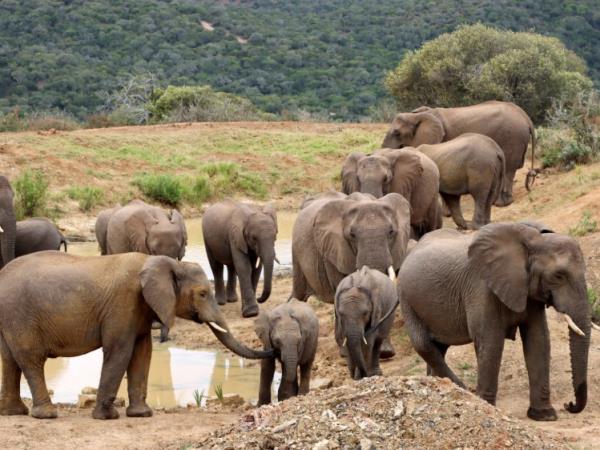 Conservation holiday for teenagers, South Africa