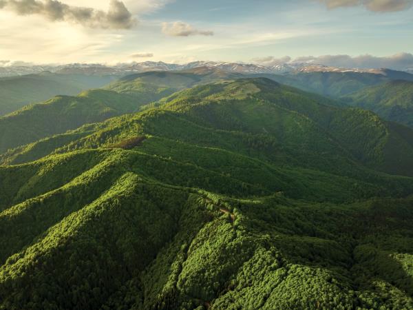 Carpathians wildlife adventure  holiday, Romania
