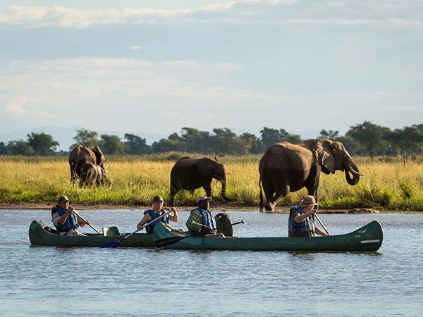 Zimbabwe wildlife holidays