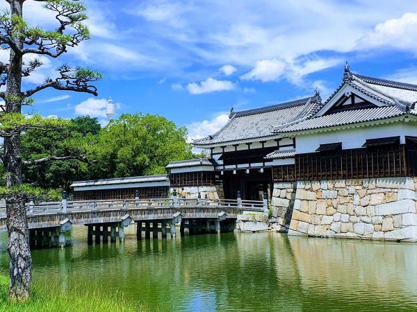 Japan family holiday, private departure