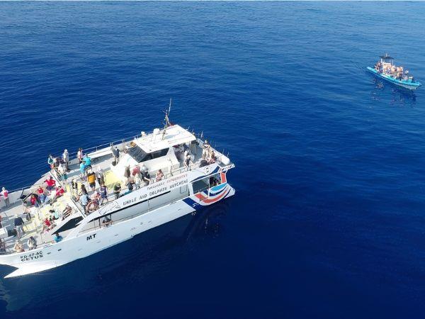 Ocean discovery tour of the Azores