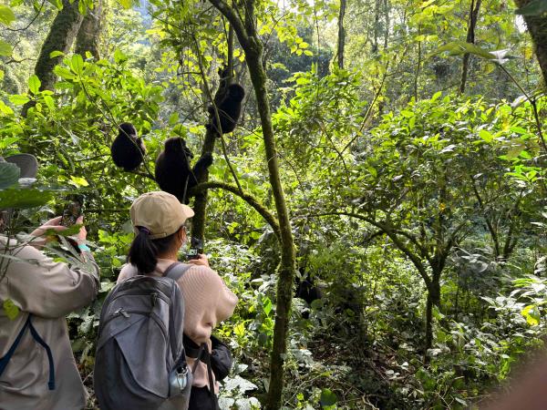 Small group adventure holiday in Uganda