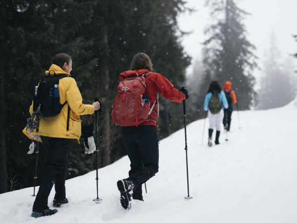 Austria skiing and winter activity holiday