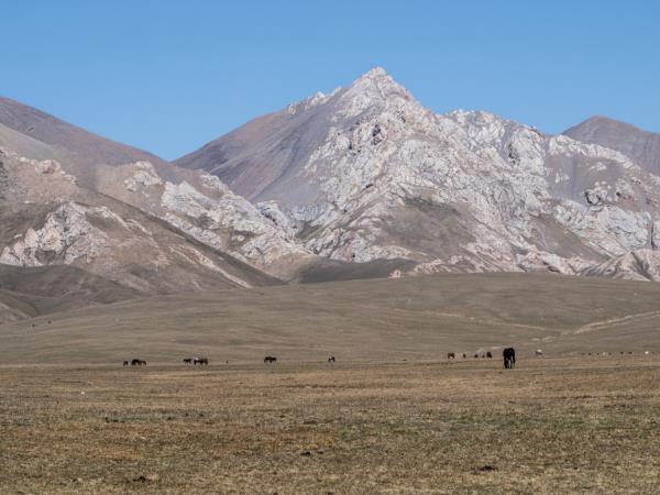 Kyrgyzstan Salbuurun Festival holiday