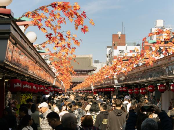 Japan small group walking tour, traditions & history