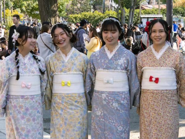 Japan small group walking tour, traditions & history