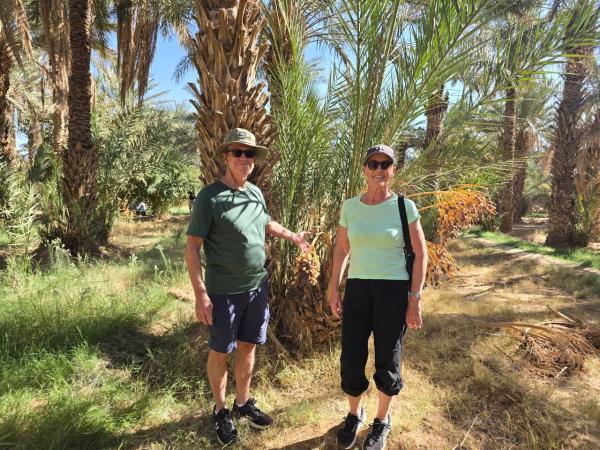 Sahara Desert and Anti Atlas mountain tour
