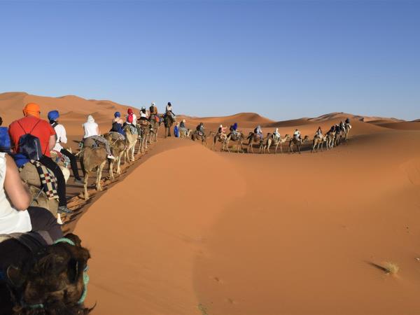 Private Morocco highlights, tailor made