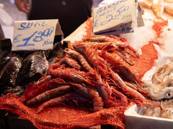 Sicily food & wine tour