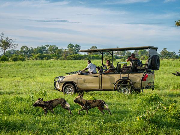 Botswana lodge safari and Victoria Falls