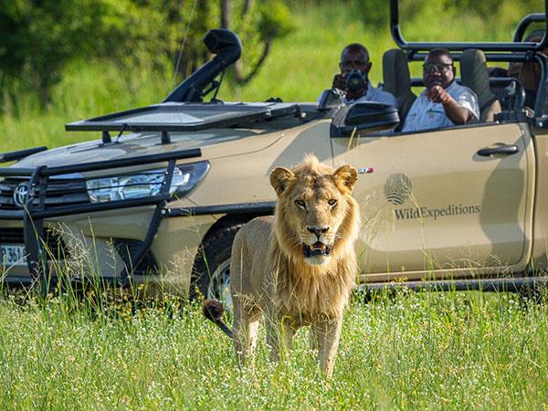 Botswana lodge safari and Victoria Falls