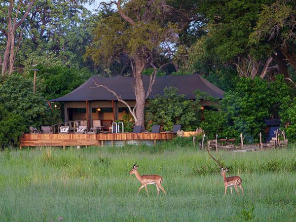 Botswana lodge safari and Victoria Falls