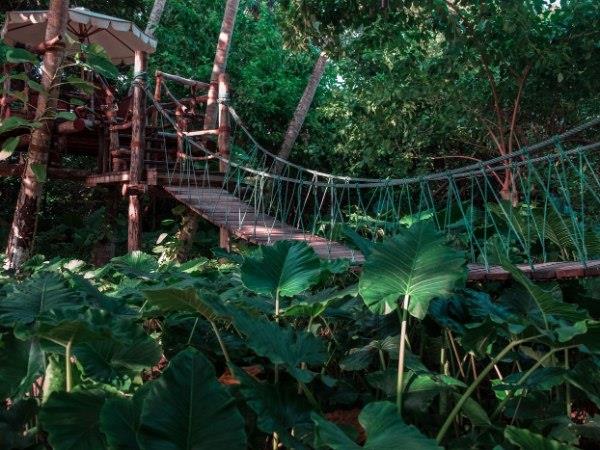 Ecuador and Galapagos luxury holiday
