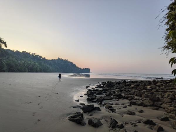 Costa Rica wildlife tour
