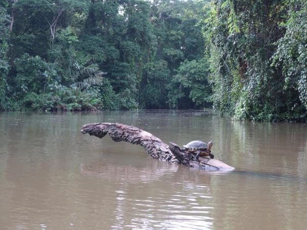 Costa Rica wildlife tour