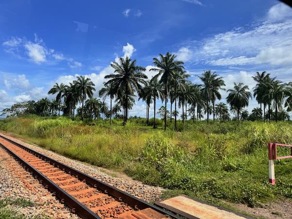 Sierra Leone discovery tour
