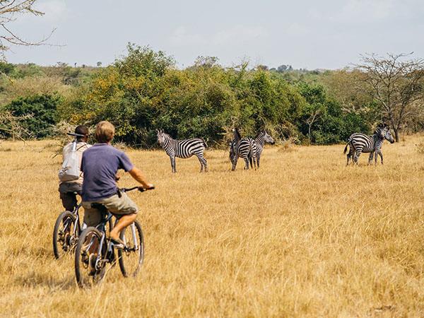5 day gorilla safari in Uganda