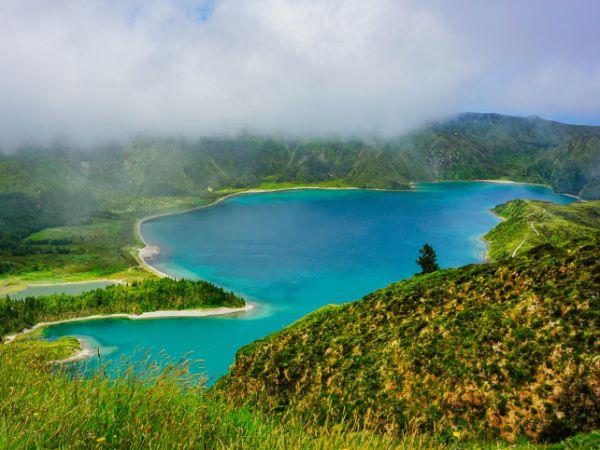 Azores family adventure holiday, whales and dolphins