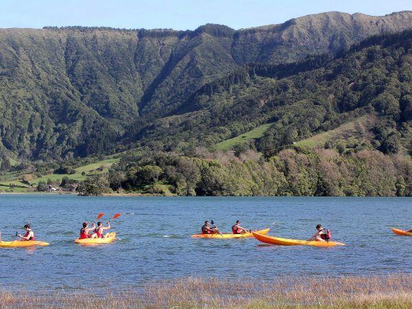 Azores family adventure holiday, whales and dolphins