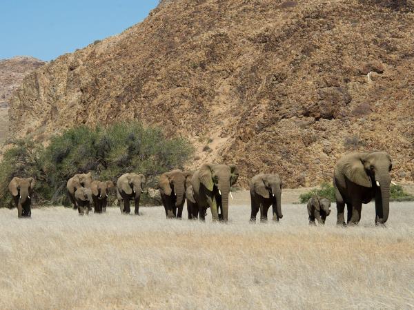 Namibia fly in safari holiday