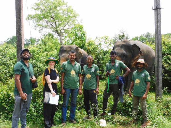 Sri Lanka elephant conservation holiday