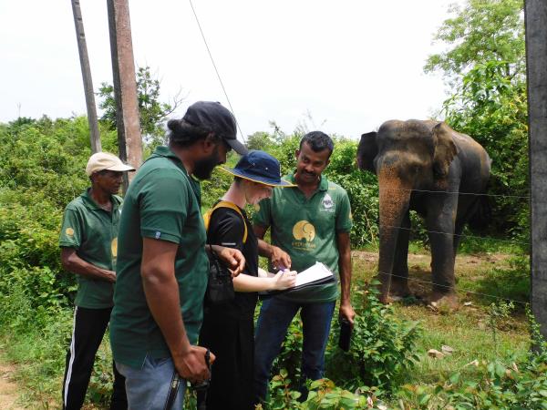 Sri Lanka elephant conservation holiday