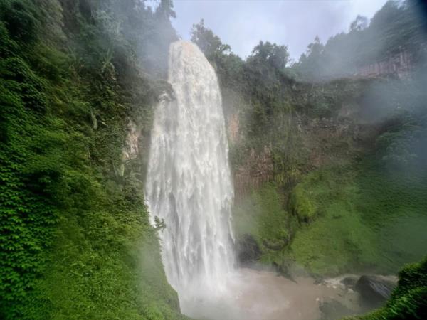 Ethiopia coffee and wildlife tour