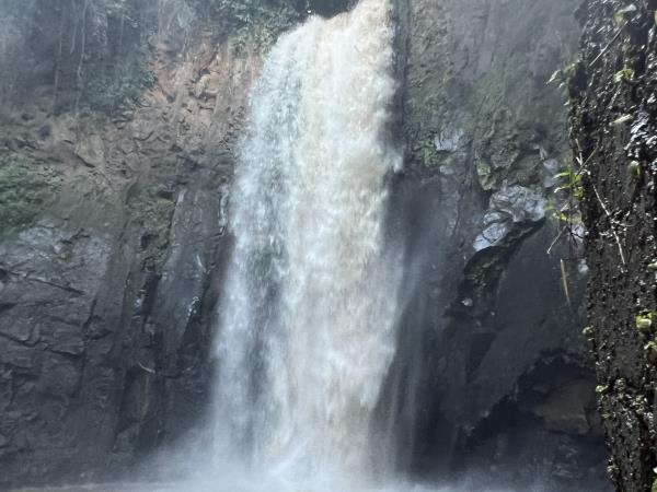 Ethiopia coffee and wildlife tour