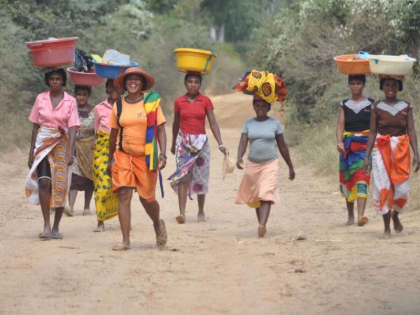 Eastern Madagascar Escape small group