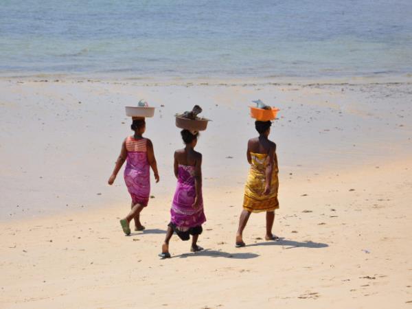 Eastern Madagascar Escape small group