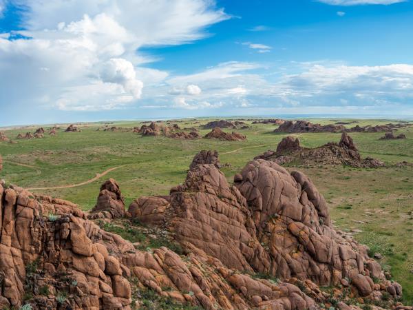 Mongolia wildlife holiday